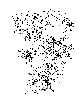 Your part is # 29 in this diagram