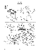 Your part is # 12 in this diagram