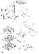 Your part is # 11 in this diagram