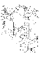 Your part is # 38 in this diagram