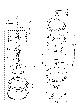 Your part is # 22 in this diagram
