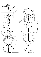Your part is # 8 in this diagram
