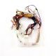 Cable Harness 00645207