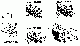 Your part is # 147 in this diagram