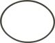 Drive Belt WP28808