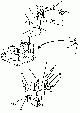 Your part is # 18 in this diagram
