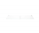 Glass Plate 00773894