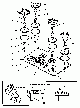 Your part is # 13 in this diagram