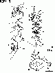 Your part is # 31 in this diagram