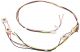 Harness Assembly 316001830