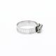 Hose Clamp WP616099