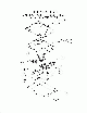 Your part is # 11 in this diagram