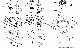 Your part is # 313 in this diagram