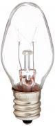 Light Bulb WP22002263