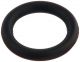 O-Ring 240527001