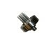 Pinion Gear 00029959