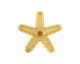 Pro-Star Burner Head 00415515