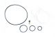 Pump Seal Kit 675703