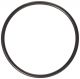 Rear Oring 154246901