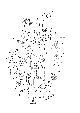 Your part is # 16 in this diagram