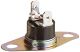 Safety Thermostat 318003624