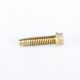 Screw WP3400504