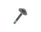 Screw 00056768