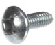Screw 5303307980
