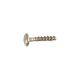 Sump Screw 00167241