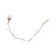 Thermistor WR50X23071