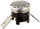 Thermostat 154227809