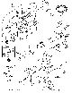 Your part is # 21 in this diagram