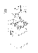 Your part is # 11 in this diagram