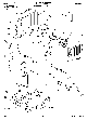 Your part is # 19 in this diagram