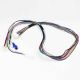 Wire Harness 241921501