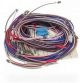Wire Harness 00493906