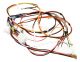 Wiring Harness 134605800