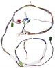 Wiring Harness 137104600