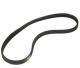 Drive Belt WPW10006384