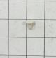 Refrigerator Button Plug WPW10520304 OEM Part
